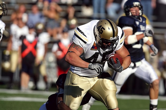 对抗能力著 对抗能力著